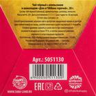 Чай чёрный «Для отчаянно горячей»:  с апельсином и шоколадом, 20 г 5051130
