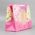 Пакет ламинированный с пластиковым окном «Happy Birthday», 32,5 × 26,5 × 13,5 см 4647174