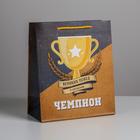 Пакет ламинированный вертикальный «Чемпиону», ML 23 × 27 × 11,5 см - фото 6673339