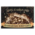 The label on a bottle of "Champagne new year" black and gold bull, 12x8 cm The label on a bottle of "Champagne new year" black and gold bull, 12x8 cm