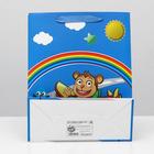 Пакет ламинированный, 26 x 32 x 12 см 4704061