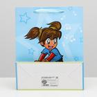 Пакет ламинированный, 26 x 32 x 12 см 4704048