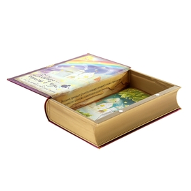 Box-book gift "the Mysterious world" (set 2 PCs)