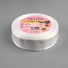 Лента капроновая «Блёстки», 25 мм × 18 ± 1 м, цвет серебряный 4937926