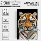 Алмазная мозаика с частичным заполнением «Тигр» 20×30 см, на холсте - фото 799164305