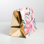 Пакет ламинированный «Present», 30,5 × 25,5 × 18 см 4647222