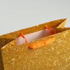 Пакет ламинированный вертикальный «С Днём Рождения!», ML 23 × 27 × 11,5 см 4725278