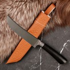 Нож Корд Куруш - Малый, граб черный, сухма, пуговица, гарда олово. НС 420 (13-14 см) - фото 1073486