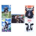 Pocket calendar "symbol of the year - 3" 2021, 7 x 10 cm, MIX Pocket calendar "symbol of the year - 3" 2021, 7 x 10 cm, MIX
