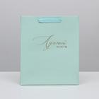 Пакет ламинированный вертикальный «Лучшей во всём», ML 23 × 27 × 11,5 см 4725130