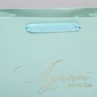 Пакет ламинированный вертикальный «Лучшей во всём», ML 23 × 27 × 11,5 см 4725130