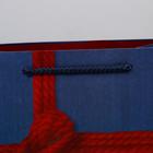 Пакет ламинированный вертикальный «Just for you», ML 23 × 27 × 11,5 см 4733815