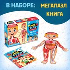 Набор «Моё тело»: мегапазл с обучающей книгой - фото 107966402