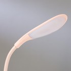 Лампа настольная с RGB подсветкой 1668/1 8хLED 1,5Вт USB АКБ МИКС 6х8х33 см - фото 107712731