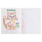 Цветные прописи «Пишем буквы, слоги, слова» - фото 799514456