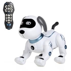 Робот-собака радиоуправляемый «Пёс», световые и звуковые эффекты, работает от батареек