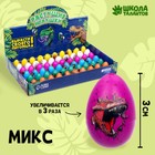 Growing toy "Egg with the picture color, Dinosaurs" 2x3 cm MIX Growing toy "Egg with the picture color, Dinosaurs" 2x3 cm MIX