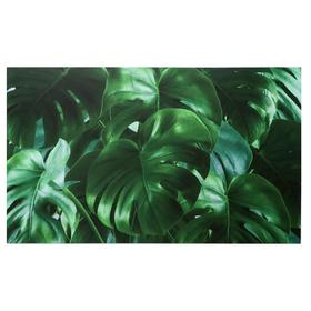 Картина на холсте "Листья монстеры" 60х100 см