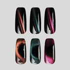 Магнит для лака, 2 × 0,3 см, цвет серебристый - фото 803232751