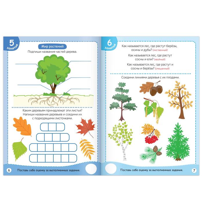 Книга обучающая «Окружающий мир», 16 стр. - фото 798683568