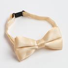 Набор детский KAFTAN "Медведь" подтяжки и галстук-бабочка, р-р 75 см, п/э - фото 800211098