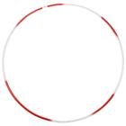 Hoop gymnastic, steel, d=90 cm, 900 g, MIX color