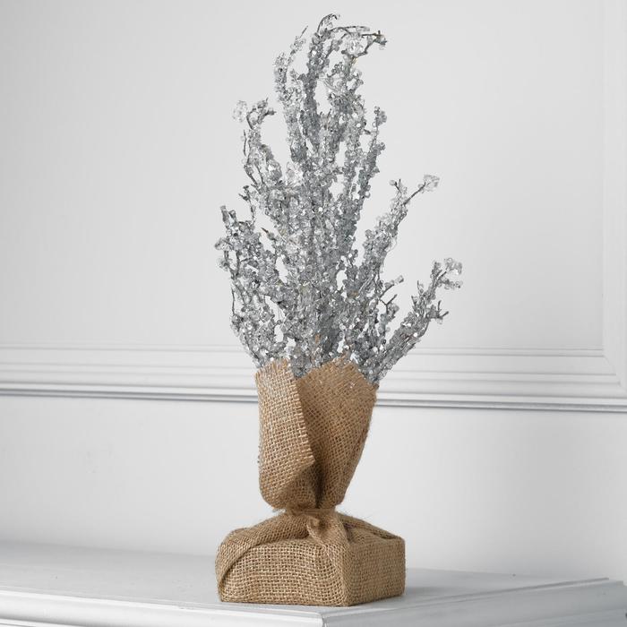 Куст 11. Пиерис японский маунтин фаер. Куст 11. Куст 11. Laburnum watereri (бобовник ватерера).