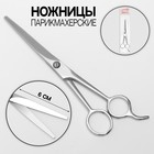 Scissors with a focus 7" blade 6cm silver package QF