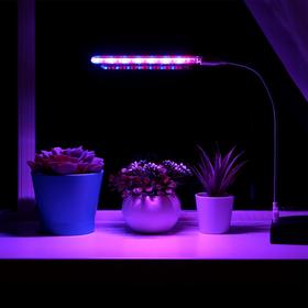 Светильник мини, для растений, от USB, 3 Вт, в комплекте переходник на гибкой ножке