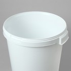 Бак пищевой «Для солений», 32,9 л, с герметичной крышкой 5248377