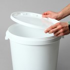 Бак пищевой «Для солений», 32,9 л, с герметичной крышкой 5248377