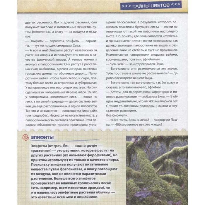 презентация на тему лес. текст тайны леса. текст тайны леса. тайны леса 1 класс. тихонов а.