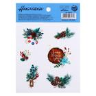 Sticker with a luminous layer "Natural compositions", 10.5 x 14.8 cm Sticker with a luminous layer "Natural compositions", 10.5 x 14.8 cm