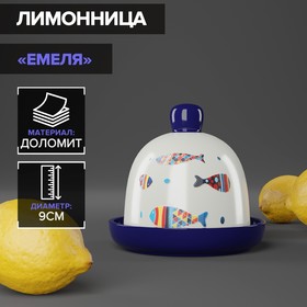 Лимонница Доляна «Емеля», 9×9 см 4826203