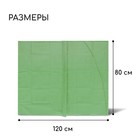 Чехол для растений, прямоугольный на шнурках, 120 × 80 см, спанбонд с УФ-стабилизатором, плотность 60 г/м², цвет МИКС 5276946