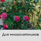 Чехол для растений, прямоугольный на шнурках, 120 × 80 см, спанбонд с УФ-стабилизатором, плотность 60 г/м², цвет МИКС 5276946