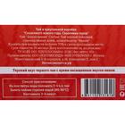 Чай в треугольной коробке "Сказочного нового года. Сказочные герои" 50 г 5253028