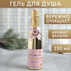 Гель для душа во флаконе шампанское Winter Queen 250 мл, аромат шампанского - фото 941345