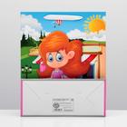 Пакет ламинированный, 26 x 32 x 12 см 4704083