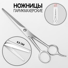 Scissors with a focus 7" blade 6.5 cm silver package QF