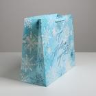 Пакет ламинированный горизонтальный «Морозный день», XL 49 × 40 × 19 см 4843365