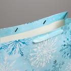 Пакет ламинированный горизонтальный «Морозный день», XL 49 × 40 × 19 см 4843365