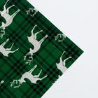 Плёнка упаковочная голография «Олени», 100 × 70 см (20 шт) - фото 800103694