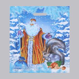 Пакет "Дед Мороз и Снегурочка", полиэтиленовый с вырубной ручкой, 41 х 51 см, 80 мкм