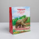 Vertical laminated package "Perm" MS, 18 x 23 x 8 cm Vertical laminated package "Perm" MS, 18 x 23 x 8 cm