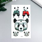 The tattoo on the body colored "Panda-boxer" 10,5x6 cm