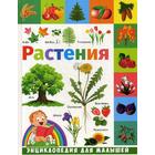 Растения: энциклопедия для малышей. Гриценко Е. - фото 7916252