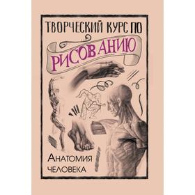 Творческий курс по рисованию. Анатомия человека. Грей М. 5374727