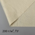 Plant shelter, needle-punched cloth 200g / m2 1.5×2m Plant shelter, needle-punched cloth 200g / m2 1.5×2m