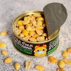 Арахис «Ты дожил до 2021»: 65 г 5142630